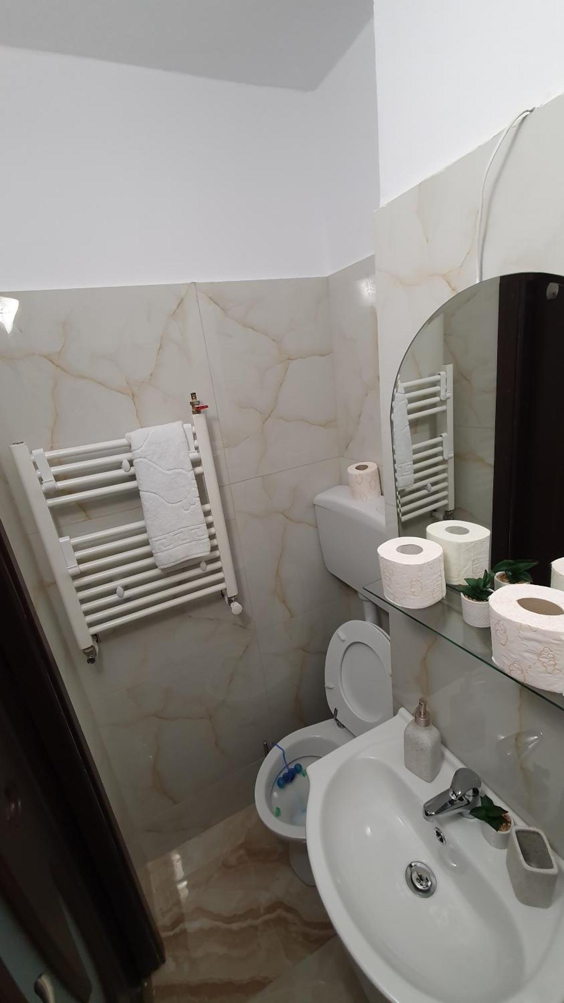 Janine Studio Brasov Ngoại thất bức ảnh